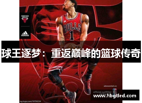 球王逐梦：重返巅峰的篮球传奇